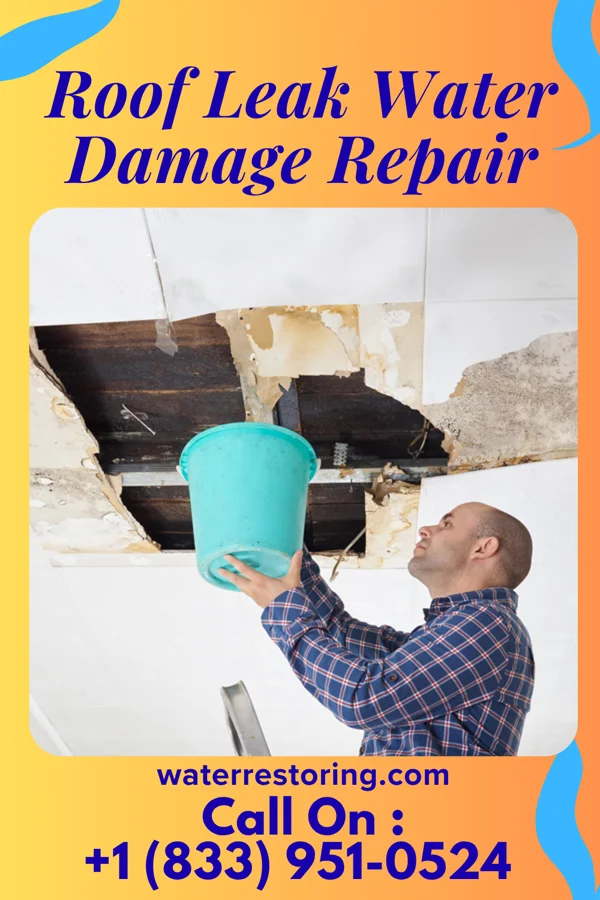 Roof Leak Water Damage Repair in Roseland, NJ