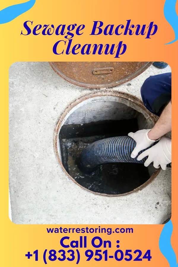 Sewage Backup Cleanup in Roseland, NJ