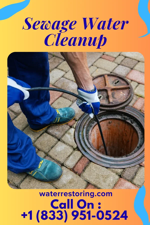 Sewage Water Cleanup in Roseland, NJ